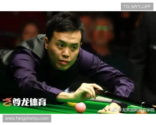 尊龙体育下载官网用户评价与反馈，真实用户体验分享与建议交流