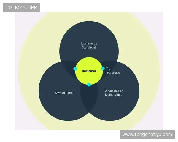 E路发：多渠道融合推动品牌影响力全面提升的策略分析
