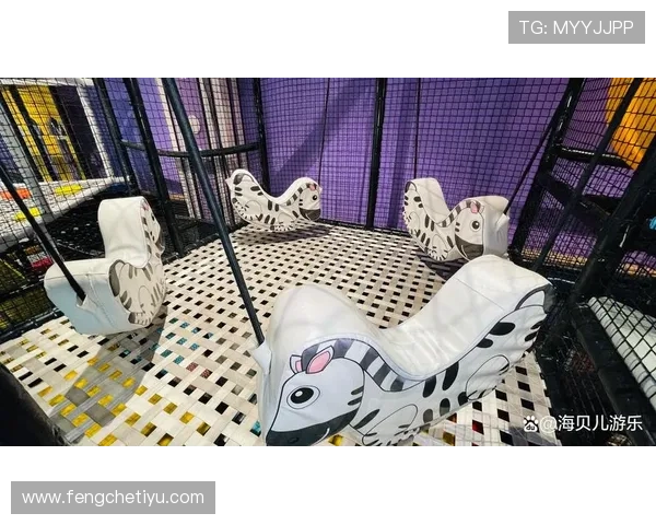 德克萨斯娱乐场：多元化的娱乐空间满足不同年龄层的需求，打造家庭和朋友的理想娱乐场所